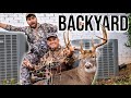 GIANT BACKYARD BUCK Atlanta Georgia Hunting