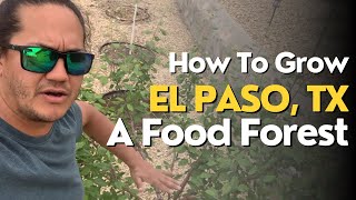 How To Grow Food In El Paso, Texas