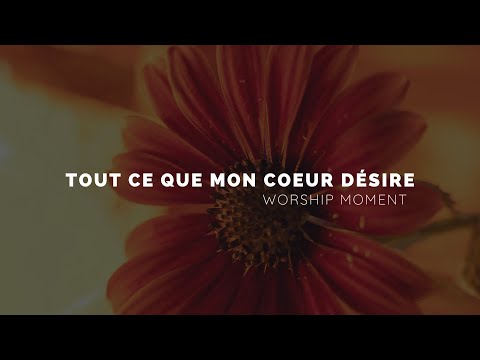Tout Ce Que Mon Coeur Désire - YSATC
