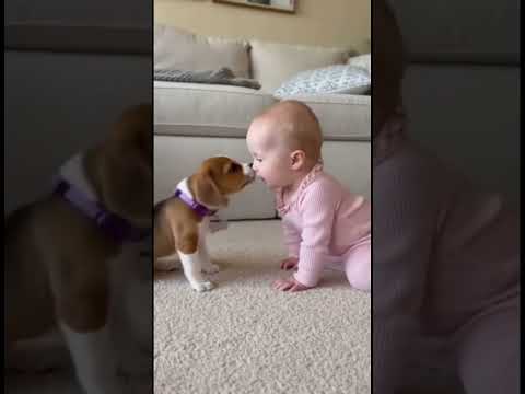 Baby Copies Puppy’s Bark 😂 Cutest Thing Ever! #cutebaby #adorablemoments