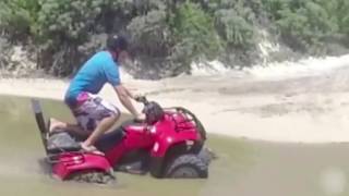 Cocodrilo atropellado