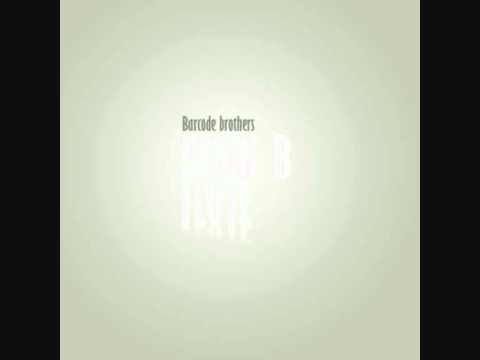 Barcode Brothers - Flute (benni b 2011 edit)