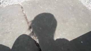 Storm - Jose Gonzalez