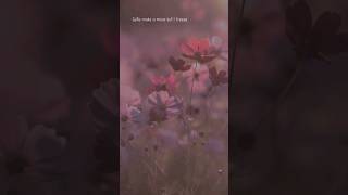 Jai Waetford - Shy ( lyrics )