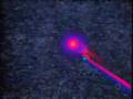 Search for the Grand Unified Theory 