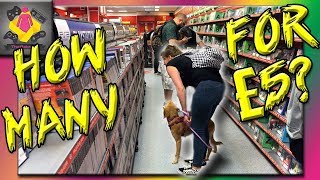 PS2 and PS3 Game Hunting £5 Video Game CHALLENGE