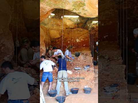 Video thumbnail: A Pit in Spain Holds the Key to a Neanderthal DNA Mystery - David Reich