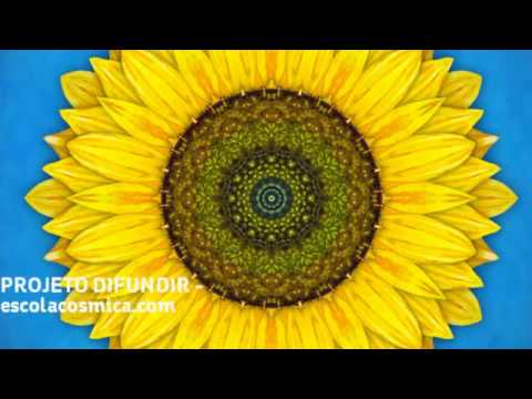 81 Olhem para a natureza - Hinário Flores de São João - Cristina Tati