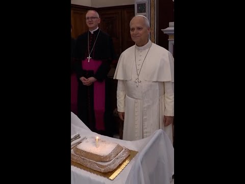 Pope Leo marks 71st birthday in the Apostolic Library