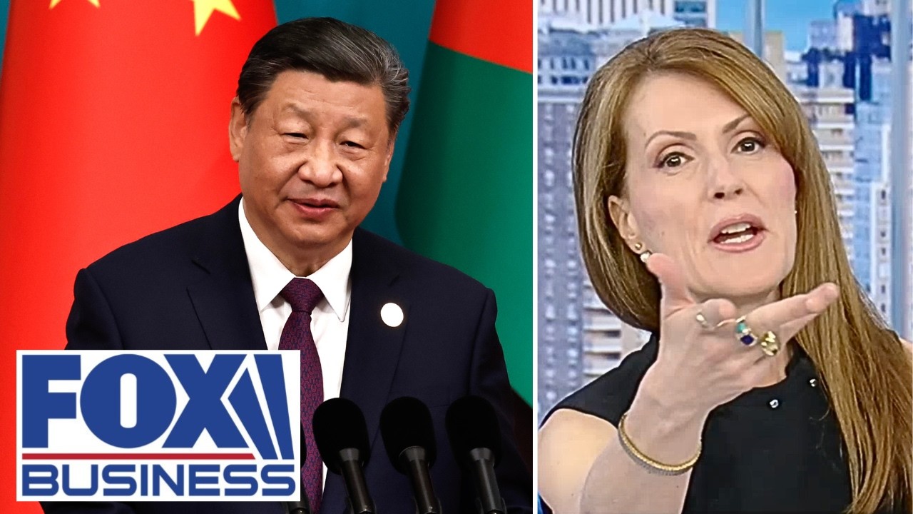 'THEY CAN SUCK IT': Dagen McDowell rejects calls for AI talks with China