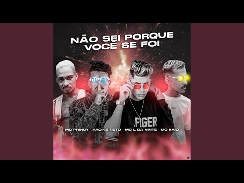 Não Sei Porque Você Se Foi (feat. Mc Kaio & MC L da Vinte)