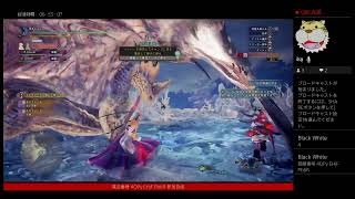 MHW:IB 危険度3 珠集め、導きの地まわし。アイスボーン モンハン　part 004