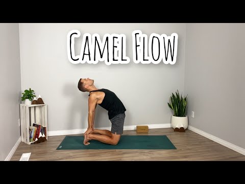 Camel Flow  |  Yoga with Greg