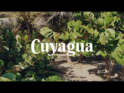 CUYAGUA, VENEZUELA - DICIEMBRE 2025 