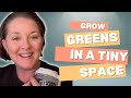 Nutrient Dense Sprouts Grown Your Own
