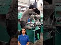 Fcnfm Machine Discover How Sesame Seed Becomes Pure Quality Oil In Minutes