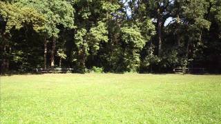 Steve Porter -- Sensor