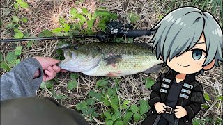 【バス釣り】