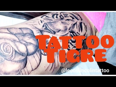 Tattoo Tigre Whip shading Leo Colin Colin tattoo