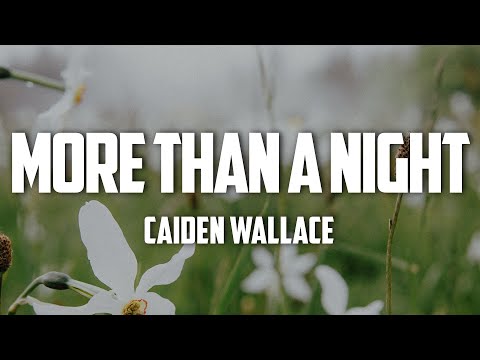 More Than A Night - Caiden Wallace