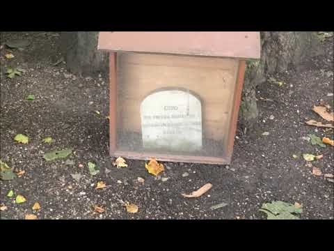 Giro the Dog Grave - Knowledge of London