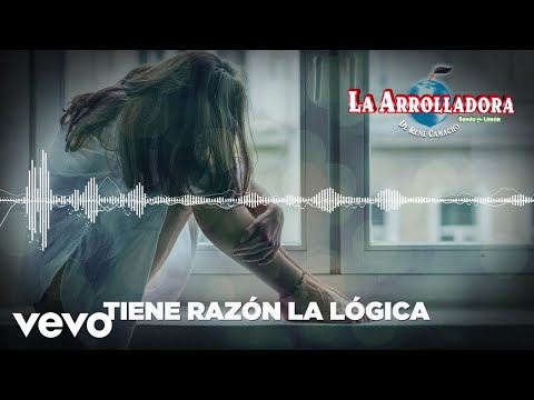 La Arrolladora Banda El Limón De René Camacho - Tiene Razón La Lógica (Visualizer)