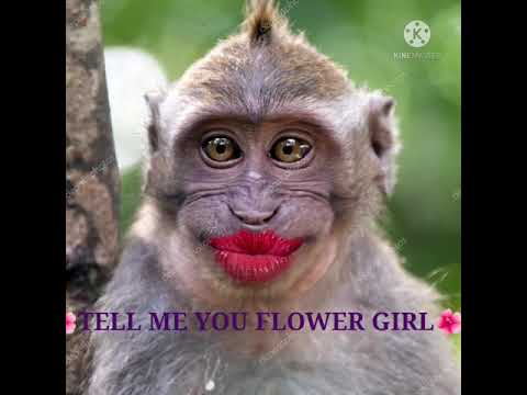 አታምርም ወይ እስቲ ከልብ እዩአት💃💃💃💃