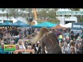Sarasota Seafood and Music Festival