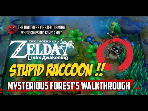 The Legend of Zelda: Link's Awakening - Mysterious Forest's |Tail Key Location | Walkthrough