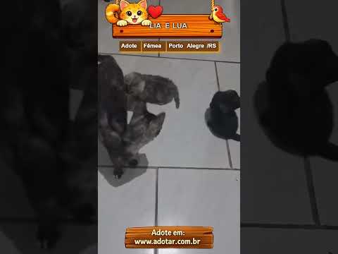 Vídeo de LIA E LUA
