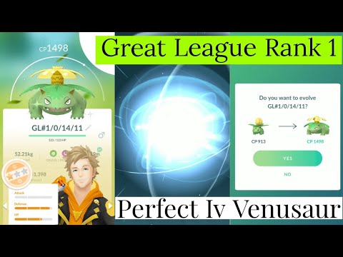 Evolving Great League Rank 1 Bulbasaur Into Venusaur Pokemon Go | Bulbasaur Community Day Pokemon Go