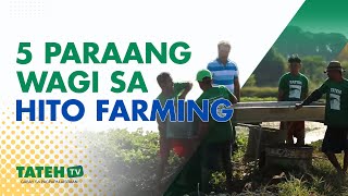 5 Paraang wagi sa Hito Farming | TatehTV Episode 146