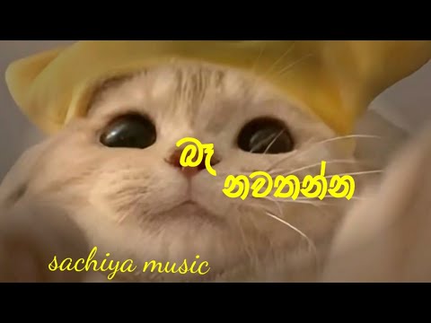 බෑ නවතන්න | Ba nawathanna | shammi frenando music video