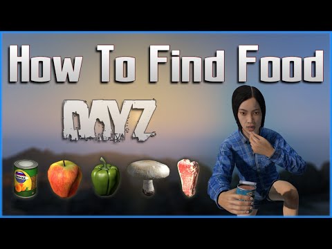 How to Find Food and Water in DayZ - PC / Xbox / PS - Where to Quickly and Easily Get It!