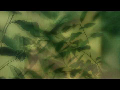 MaMan - Echoes of Home (Full Album)