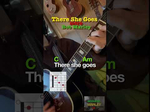 There She Goes - Ziggy Marley