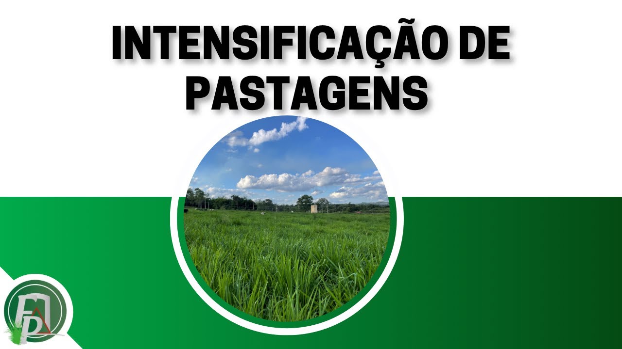 INTENSIFICAÇÃO DE PASTAGENS