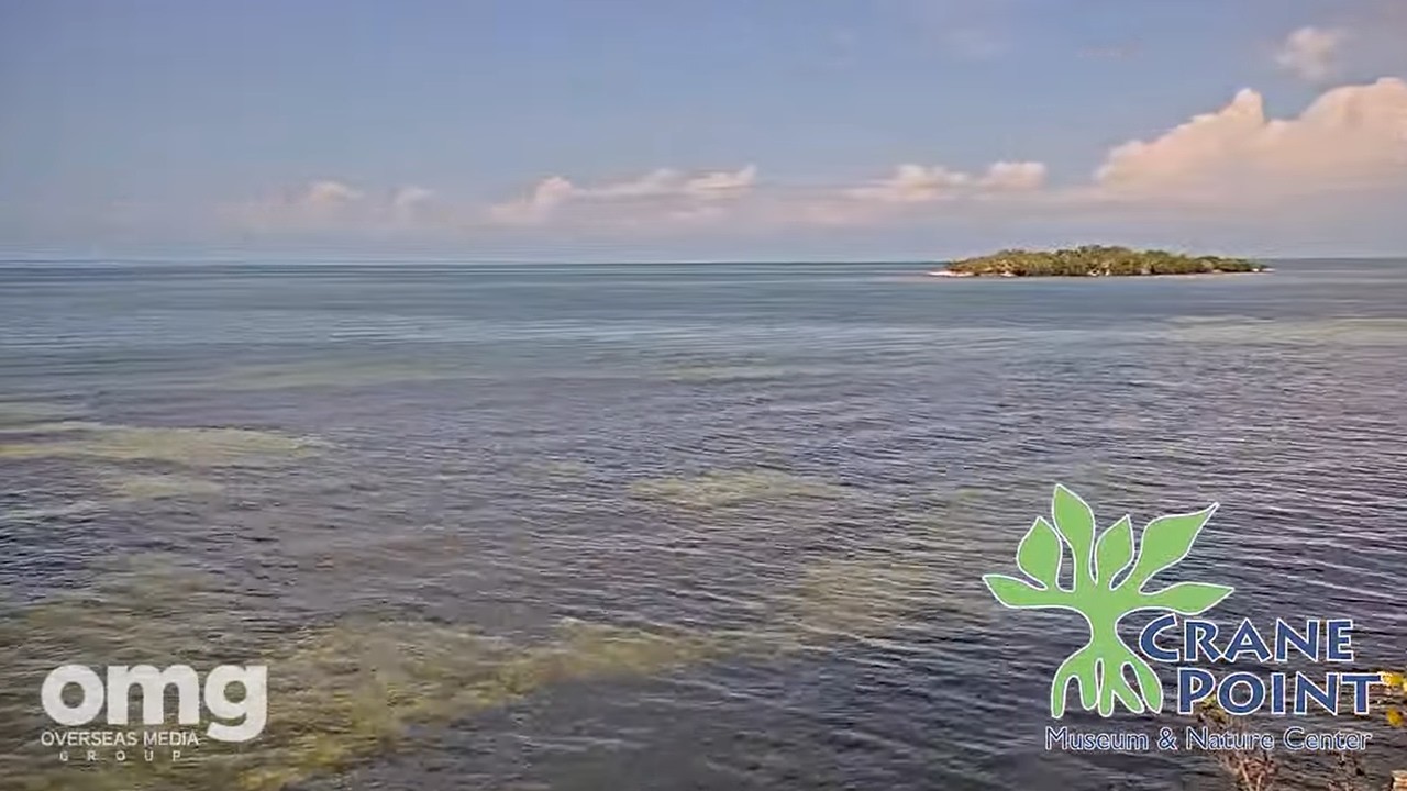 Live webcam view of Vista al Mar de Crane Point