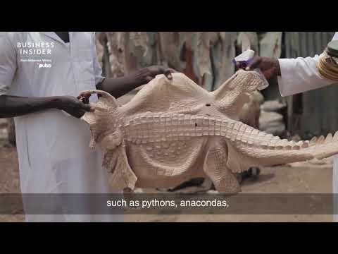 brahmin purses crocodile