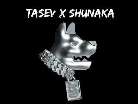SHUNAKA X TASEV 5ТЕ МИ ПРЪСТА (OFFICIAL AUDIO) prod by MUFASA