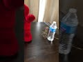 Hokey Pokey Elmo 2002 Fisher Price Sings Dances Spins