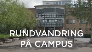 Film: A quick tour around Campus Umeå