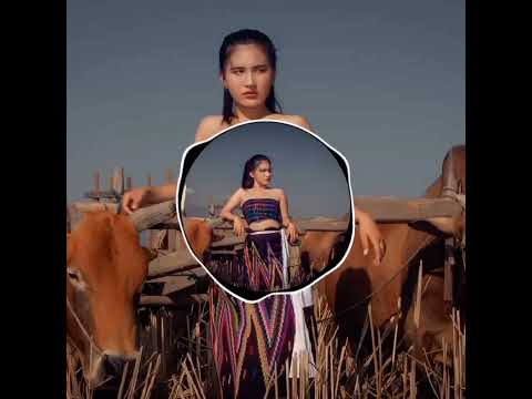 Tsaw langai prat langai