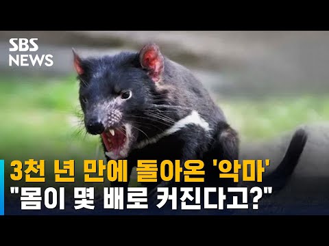 아이콘