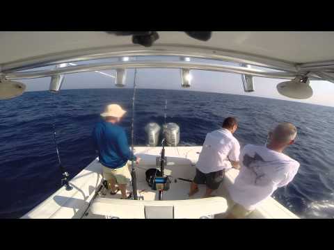 Dolphin Fishing April 2015