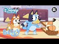 Bluey | ? Bergen Beklimmen | Disney Channel NL