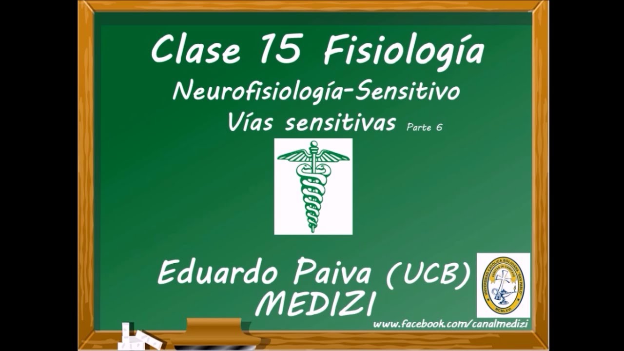 Clase 15 Fisiología - Vías sensitivas  (IG:@doctor.paiva)