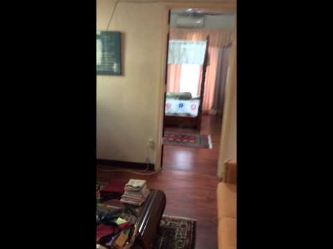 Proof that our cat Tuah cannot be left alone