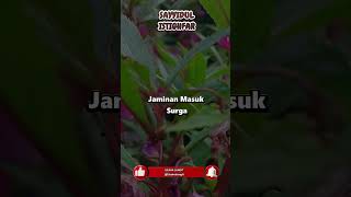 Download lagu SAYYIDUL ISTIGHFAR 100X - RAJA SEGALA ISTIGHFAR TERBAIK❗️ DZIKIR MEMPEROLEH JAMINAN SURGA mp3 Download lagu SAYYIDUL ISTIGHFAR 100X - RAJA SEGALA ISTIGHFAR TERBAIK❗️ DZIKIR MEMPEROLEH JAMINAN SURGA mp3