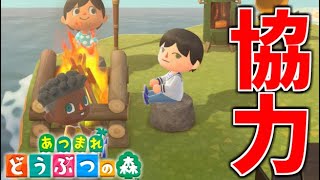 どうぶつの森の新作がやばい